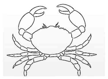 Comment dessiner un crabe 10 étapes (avec photos)