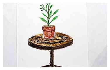 Comment dessiner une plante en pot 8 étapes (avec photos)