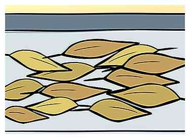 3 måder at tørreblade blade