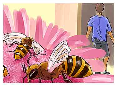 3 façons d'aborder une infestation d'abeilles