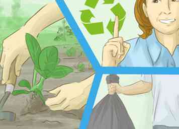 Les 7 meilleures façons d'aider à sauver l'environnement