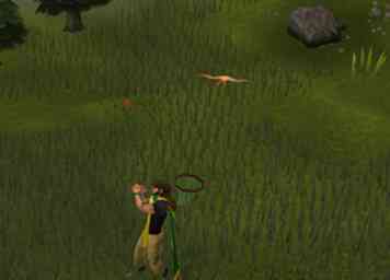 Comment chasser sur RuneScape 6 étapes (avec photos)