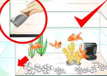 3 måder at holde akvariet vand klart