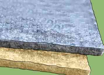 3 formas de detectar moho en la alfombra