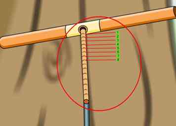 2 façons simples de déterminer l'âge d'un arbre