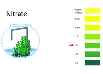 Comment faire un cycle sans poisson 9 étapes (avec photos)