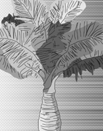 3 façons de dessiner des plantes Manga