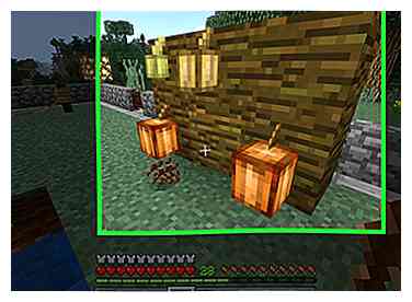 3 måder at Farm Crops i Minecraft