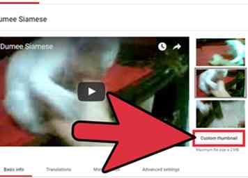 Comment faire une vignette personnalisée pour YouTube 14 étapes