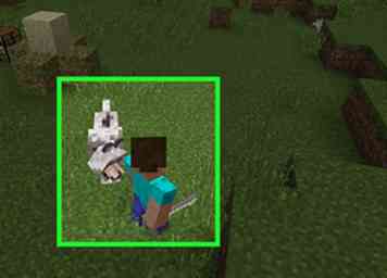 Comment faire un chien sur Minecraft 11 étapes (avec photos)