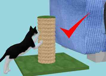 Comment faire un Kitty Scratch Post pour votre chaton 14 étapes