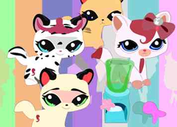 Een Littlest Pet Shop-modeshow maken (met afbeeldingen)