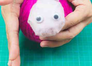 Comment faire un Pygmy Puff 12 étapes (avec photos)