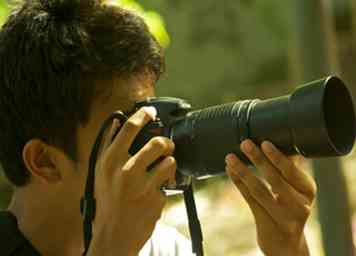 Comment photographier un oiseau 10 étapes (avec photos)