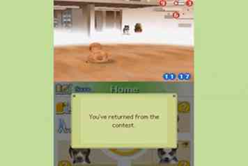 Comment jouer à Nintendogs (avec des photos)