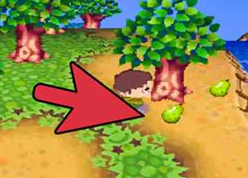 Comment cultiver un verger dans le monde sauvage Animal Crossing 4 étapes