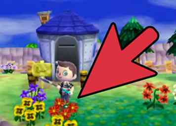 Comment cultiver des fleurs en traversant des animaux New Leaf 4 étapes