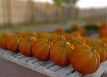 4 façons de faire pousser des citrouilles géantes