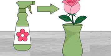 3 manieren om een ​​roos te behouden