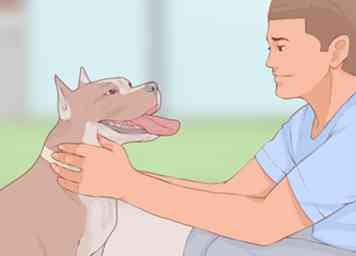 Hoe om te gaan met een bijtende hond 13 stappen (met afbeeldingen)