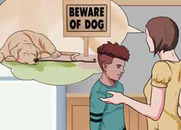 Tierärztlich zugelassener Ratschlag zum Umgang mit einem Hundeangriff