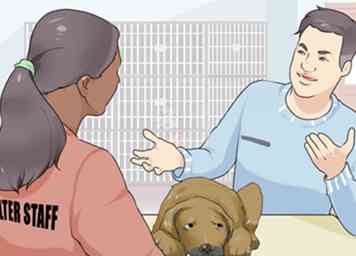 3 façons de manipuler un chien en cadeau