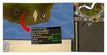 Comment voler des poissons sur Runescape 5 étapes (avec des photos)