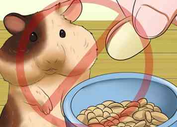 Comment introduire de nouveaux aliments dans votre hamster 10 étapes