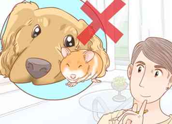 Sådan holder du en hamster og en hund 13 trin (med billeder)