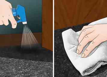 Sådan holder du din tæppe ren 12 trin (med billeder)