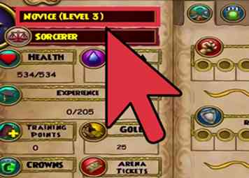 Comment mettre à niveau rapidement dans Wizard101 8 étapes (avec des images)