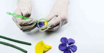 Bloemen maken met klei