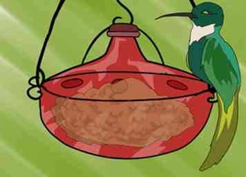 Hoe zitstokken te maken voor een Hummingbird Feeder 10 stappen