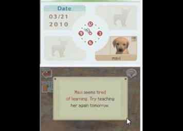 Comment faire votre vague de chiot Nintendogs 8 étapes (avec photos)