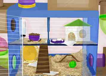 Wie man einen Hamster Mansion machen - Gunook