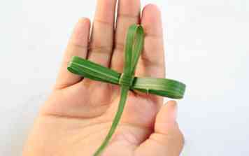 Hoe maak je een Palm Frond Cross 14 stappen (met afbeeldingen)