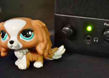 Hoe een online Littlest Pet Shop-serie maken 8 stappen