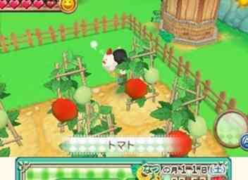 Hoe Neil te trouwen in Harvest Moon (ANB) 9 stappen (met afbeeldingen)