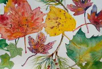 Comment peindre des feuilles d'automne en aquarelle 7 étapes