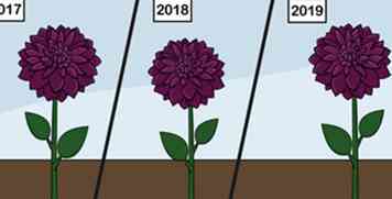 Comment planter des bulbes de fleurs (avec des images)