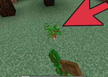 Cómo plantar árboles en Minecraft 9 pasos (con fotos)