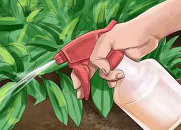 Meeldauw op planten voorkomen 10 stappen (met afbeeldingen)