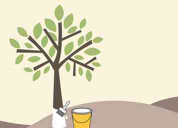 3 formas de podar árboles de cítricos