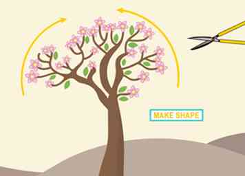 3 formas de podar Desert Rose