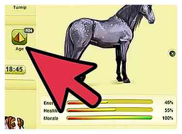 Comment obtenir un cheval avec 100 sacs sur Howrse 5 étapes (avec photos)