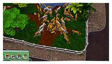 Comment obtenir des tigres du Bengale blancs dans Zoo Tycoon 2 8 étapes