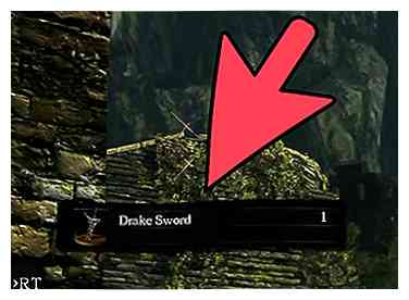 Hoe het Drake Sword in Dark Souls te krijgen 13 Steps (with Pictures)