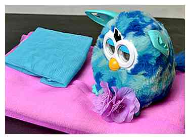 Comment donner un soin Furby Boom à un spa 11 étapes (avec photos)