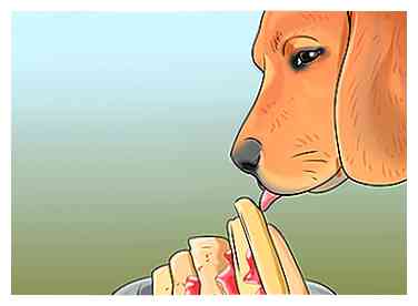 Sådan giver din hund en ristet jordnøddesmør behandler 6 trin