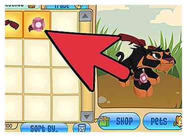 Comment faire une virée shopping dans Animal Jam 5 étapes